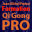 Formation Qi Gong Pro